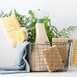 Household cleaning supplies