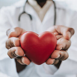 Portrait of a doctor holding a heart in his hands