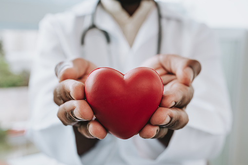 Portrait of a doctor holding a heart in his hands.