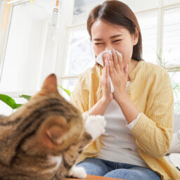 Young woman sitting with her cat and sneezing from the pet dander.